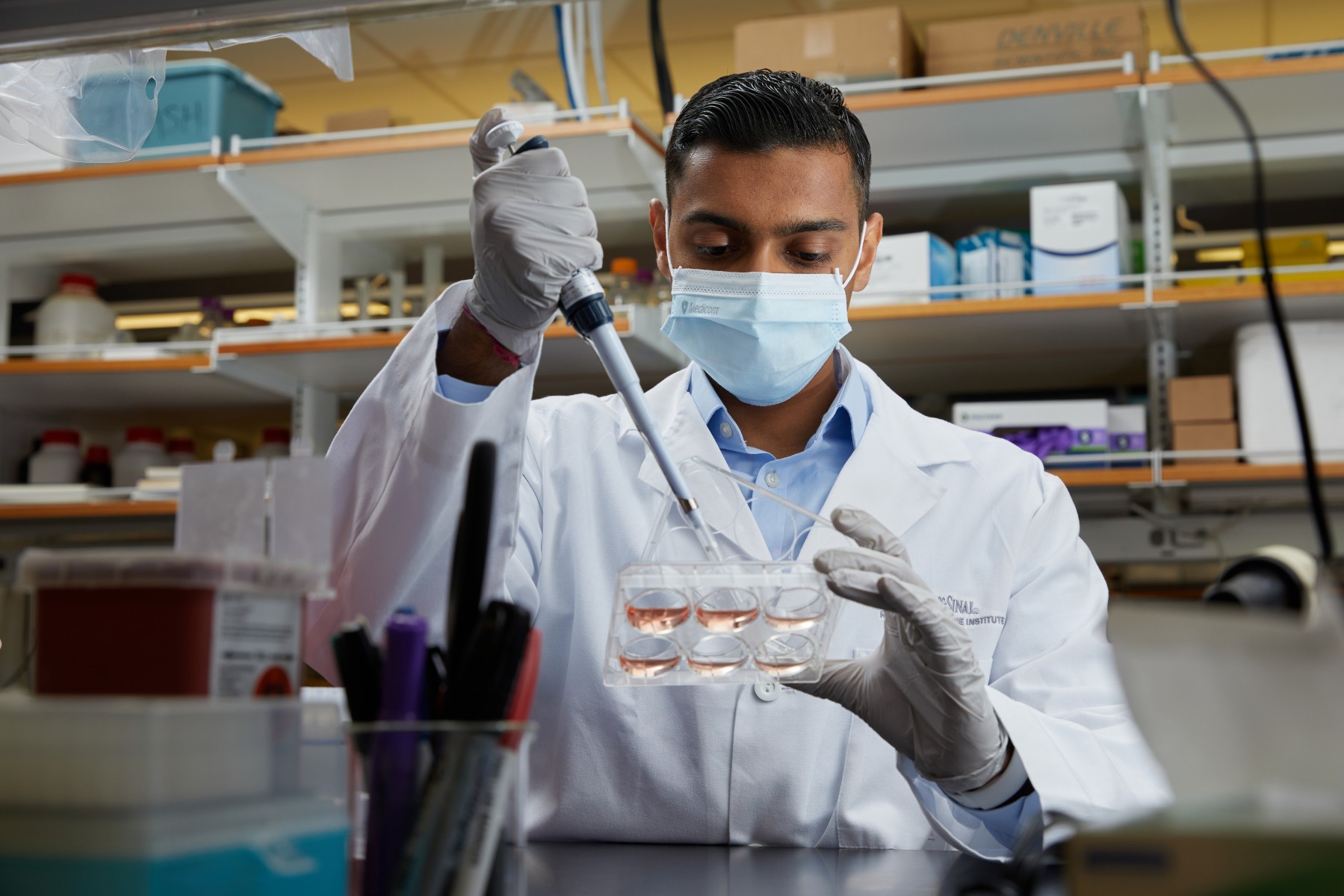 Stem Cells